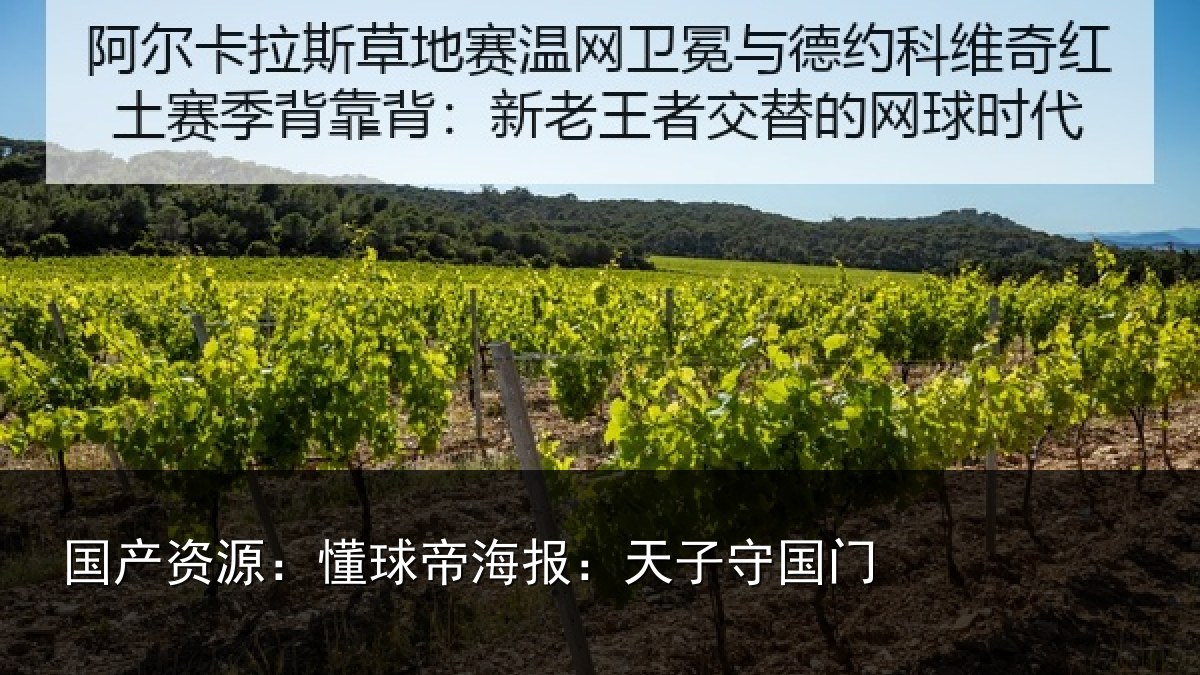 国产资源：懂球帝海报：天子守国门